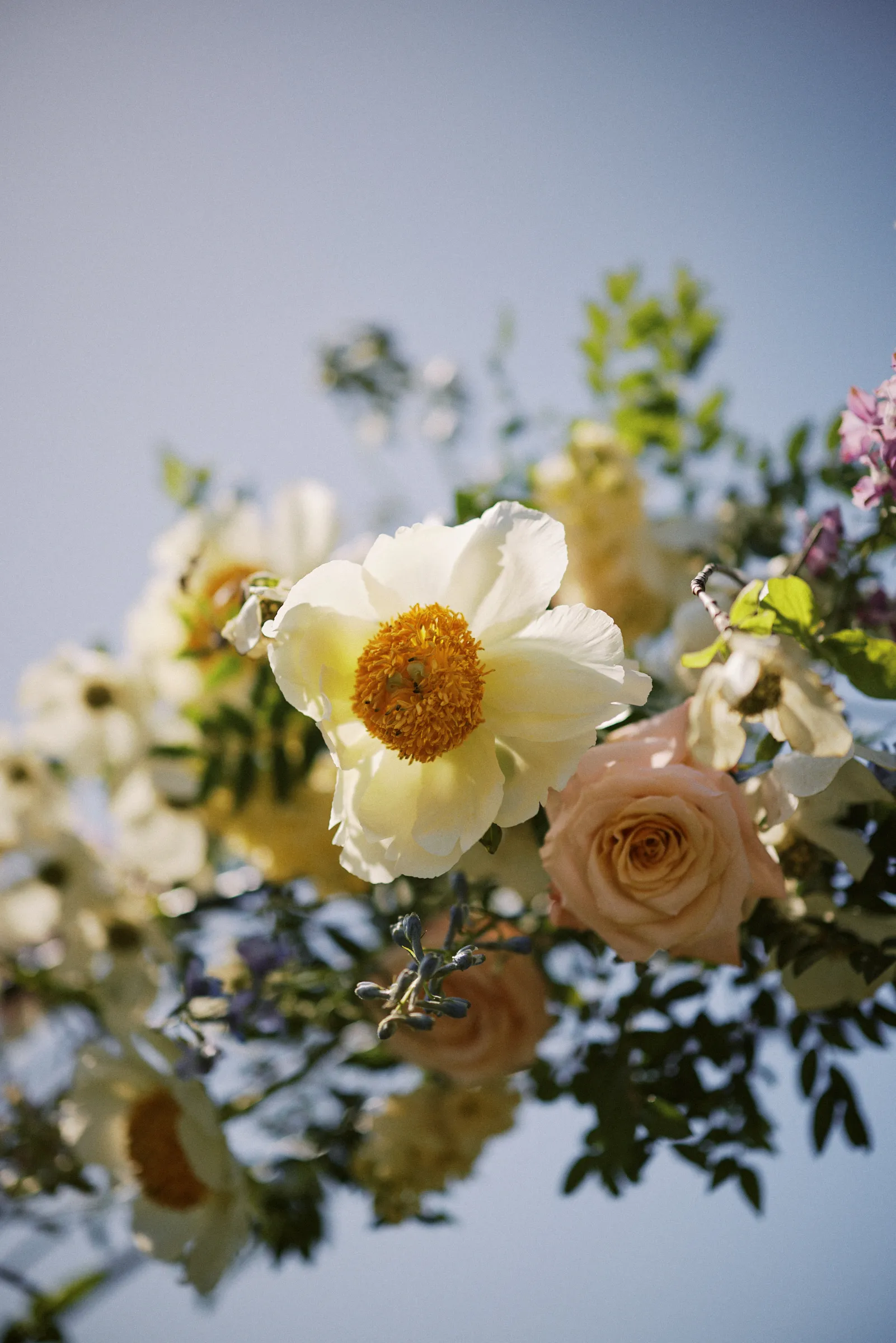 Ceremony florals against a clear blue sky
