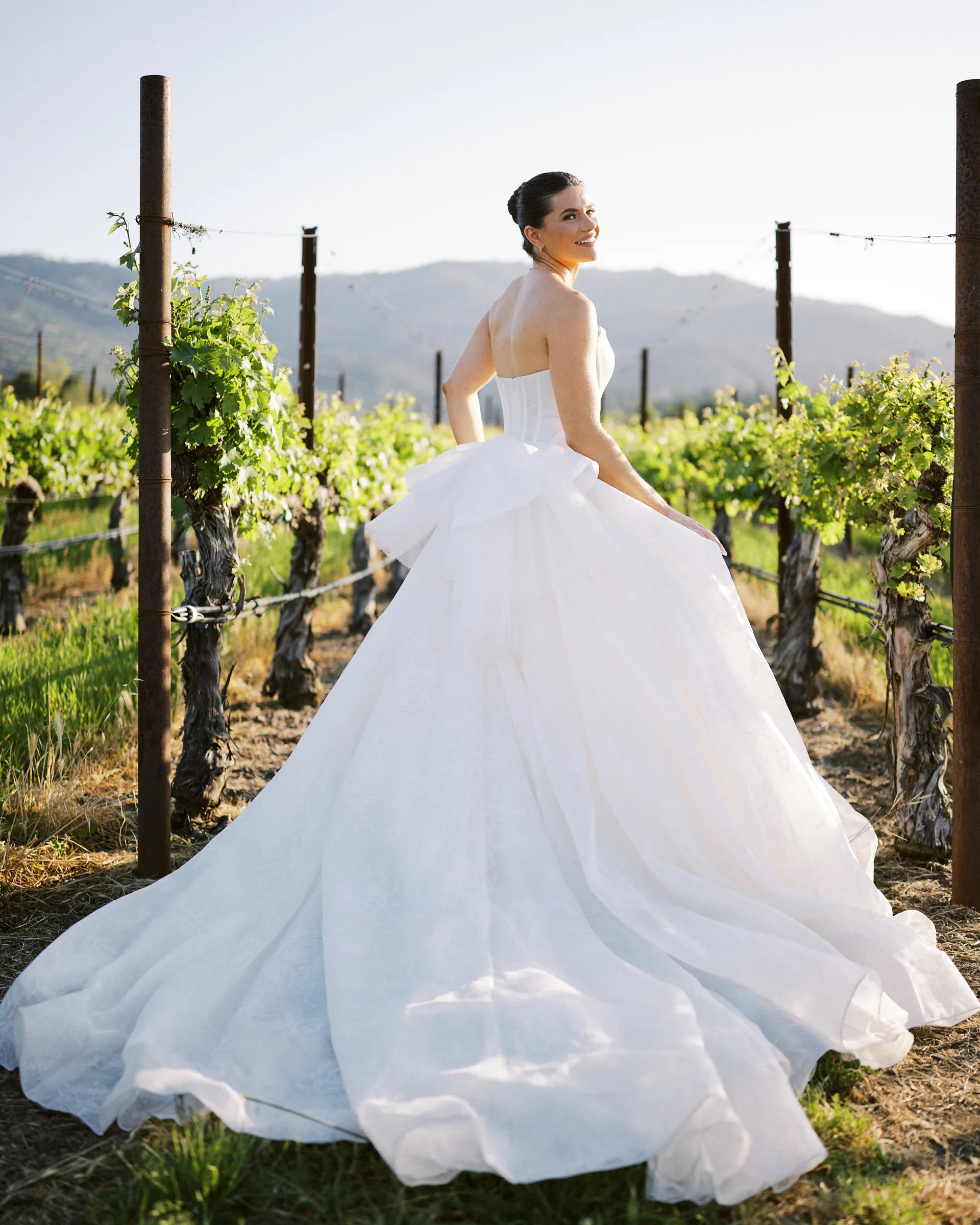 A bride looking back over her shoulder between vineyard rows, her gown fanned out behind her